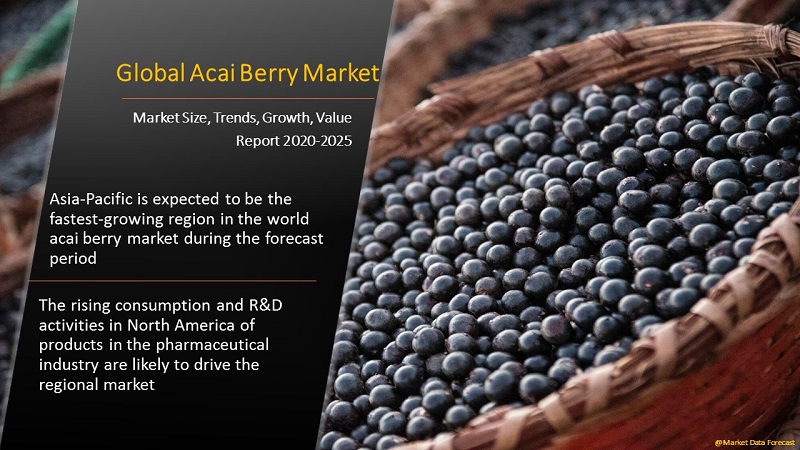 Global Acai Berry Market Size Analysis